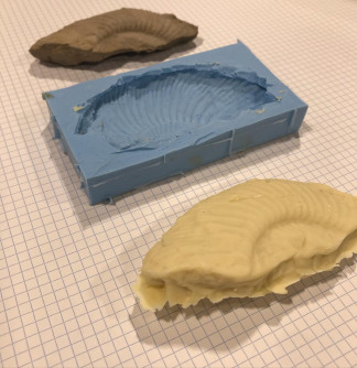 Fossil - 3D scanning & chocolate mould
