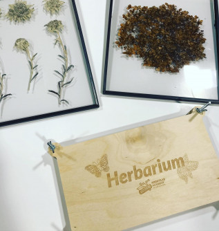 Herbarium