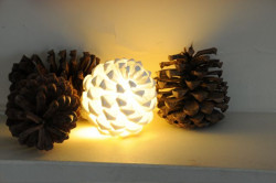 pine cone light
