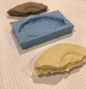 Fossil - 3D scanning & chocolate mould