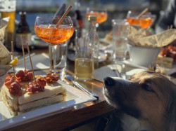 Fast Food Reimagined: The Evolution of Taste and Culture