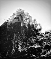 “Currents of Change: A Plastic Tide”