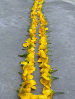 Land Art Yellow