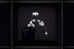 Ikebana